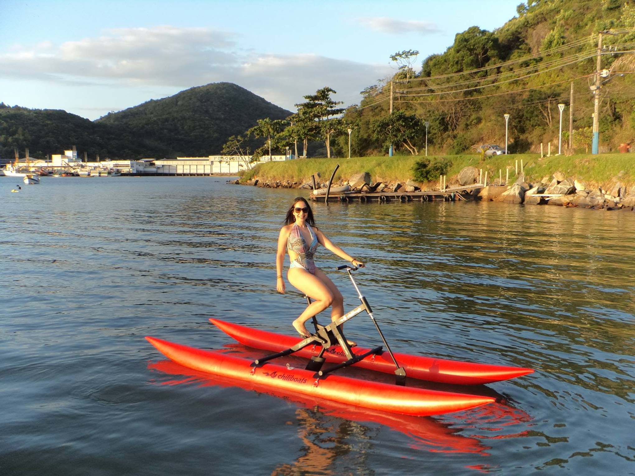 Person on a water bike with mountains and shoreline in the background.