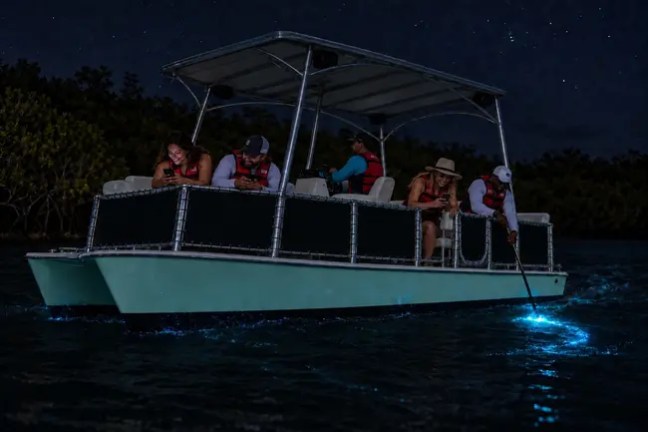 Group on a boat at night with glowing water under a pole.