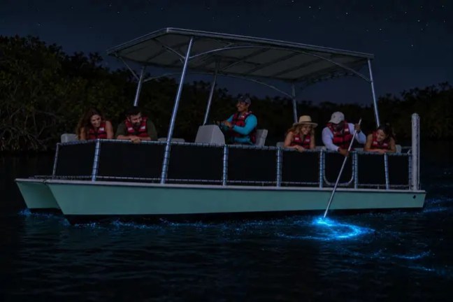 Tourists on a boat in bioluminescent water at night.