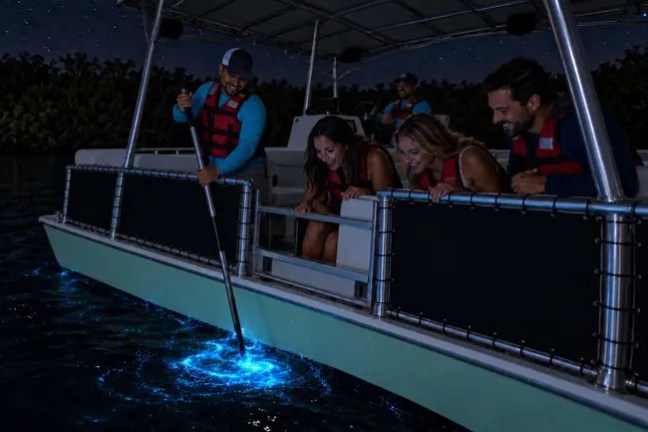 People on a boat observe glowing water at night.