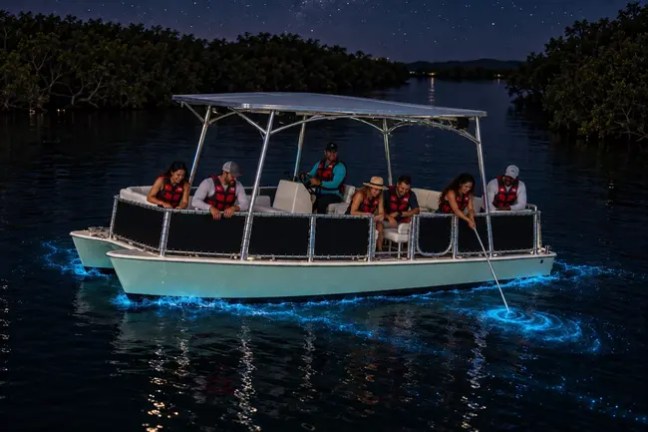 People on a boat exploring bioluminescent waters at night.