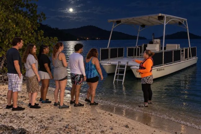 Group of people on a beach near a boat under a moonlit sky.