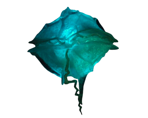 Abstract teal shape with flowing edges and textures.