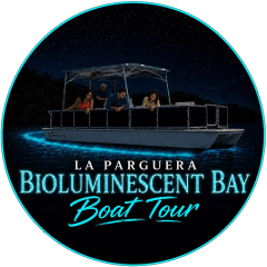 Caribbean Chiliboats