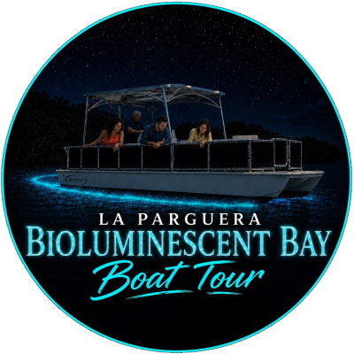 Illustration of a nighttime boat tour on a glowing bioluminescent bay.